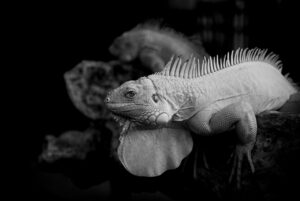 マリッジブルーで婚約破棄を考える理由とは？