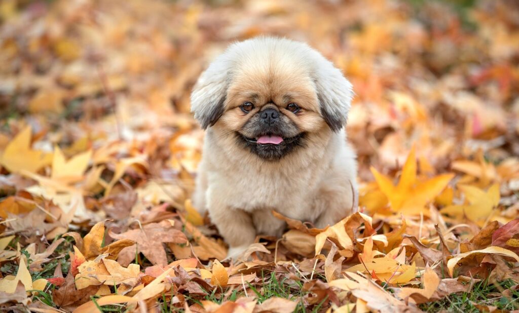 マリッジブルーで悩むあなたが知るべき婚約破棄のサインは？