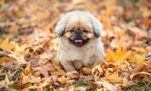 マリッジブルーで悩むあなたが知るべき婚約破棄のサインは？