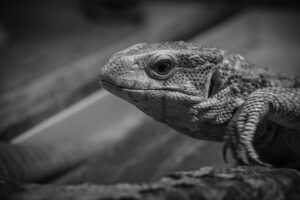 マリッジブルーを乗り越えるための婚約破棄のサインとは？