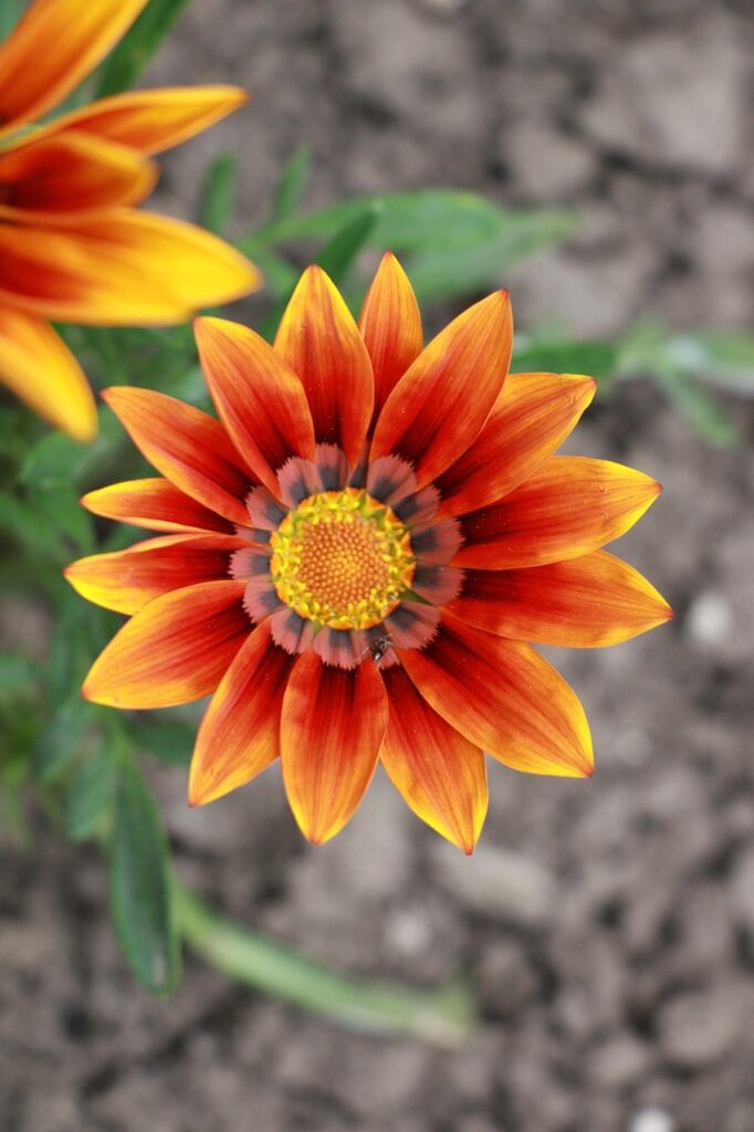 婚約破棄の証拠はどこまで必要なのか？