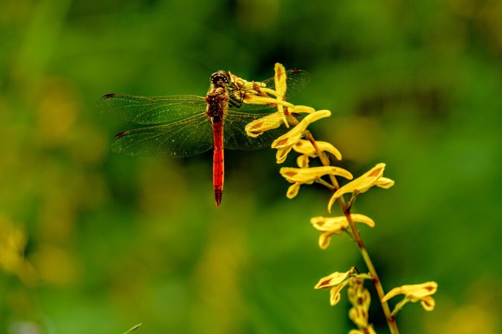 婚約破棄されたらどうすればいい？相談先と対策を解説！