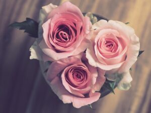 婚約破棄から立ち直るためのノートの書き方は？